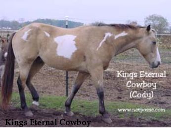 Kings Eternal Cowboy 